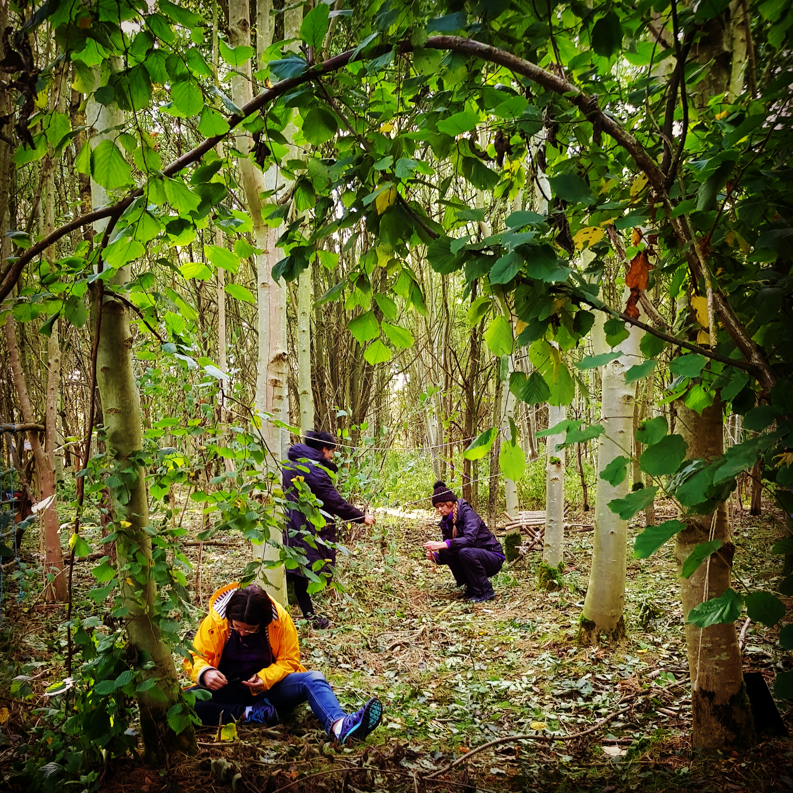 Woodland scene during training